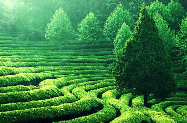 Hinh anh Nhung diem du lich hap dan nhat cho mua he soi dong 10