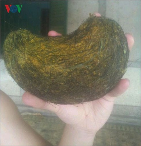 mot gia dinh o tien giang may man co duoc cat lon quy gia hinh 1