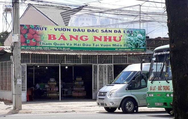 Du khach to bi chu quan o Da Lat danh vi tra lai hang hinh anh 1