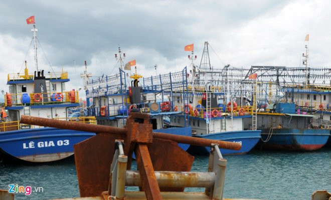 Ngu dan to bi don vi dong tau doa giet khi ghi hinh hanh vi gian doi hinh anh 1