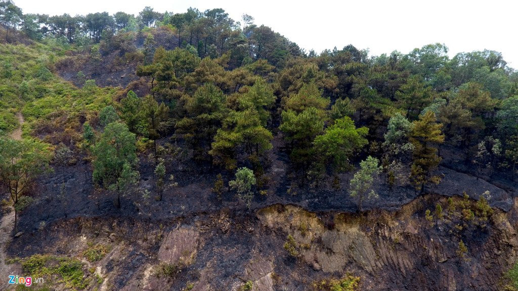 Hien truong vu chay rung lon nhat tu truoc toi nay o Ha Noi hinh anh 5