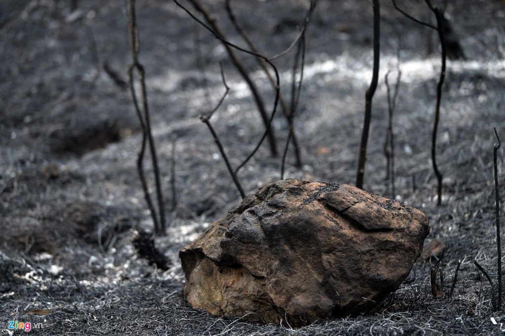 Hien truong vu chay rung lon nhat tu truoc toi nay o Ha Noi hinh anh 13