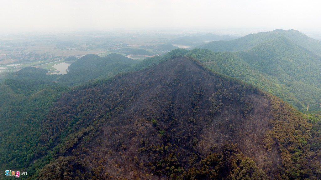 Hien truong vu chay rung lon nhat tu truoc toi nay o Ha Noi hinh anh 4