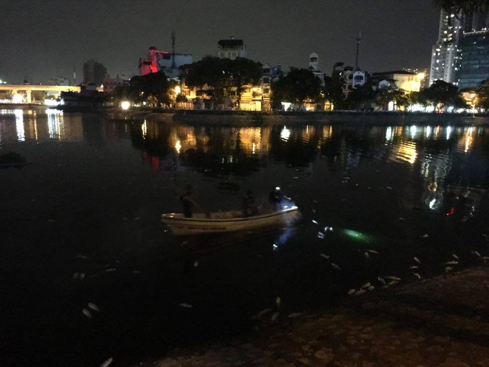 video cá chết ở hồ hoàng cầu