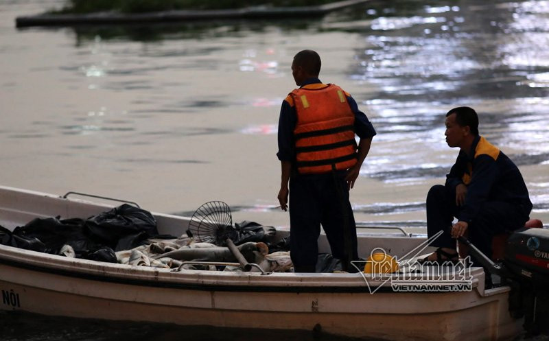 cá chết, cá chết trắng hồ Hoàng Cầu, Hà Nội