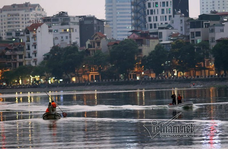 cá chết, cá chết trắng hồ Hoàng Cầu, Hà Nội