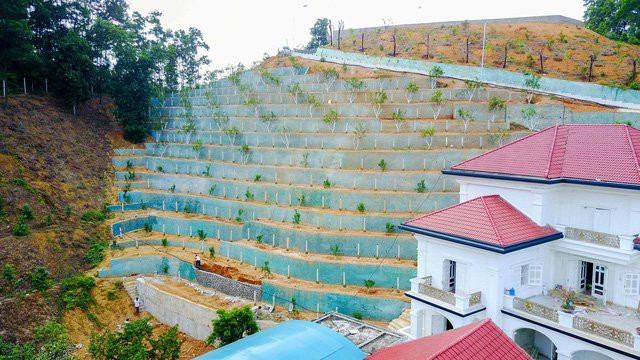 ... phía sau được bố trí trồng cây theo các bậc thang bám vào triền đồi
