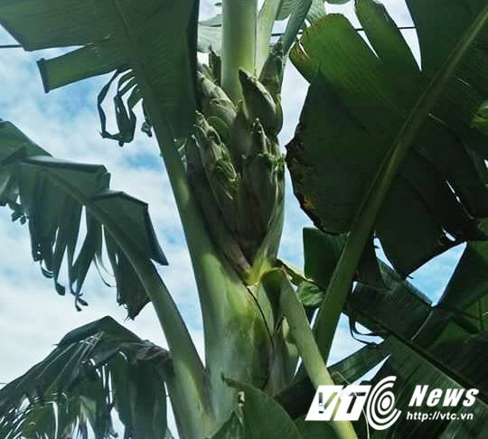 19198418_551023255313717_754250637_n (1)