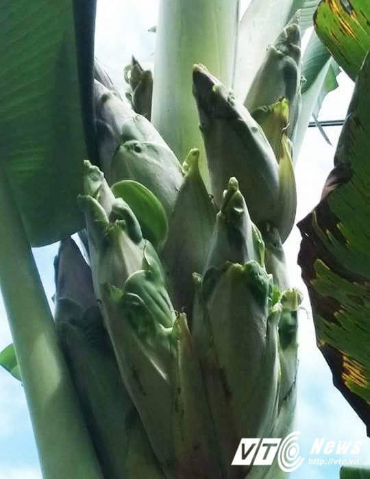 19206181_551011985314844_2133207792_n