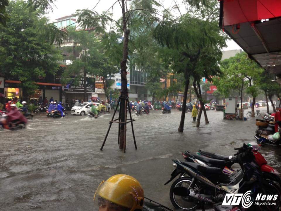 gthai ha 12