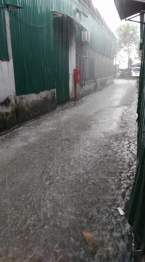 19466254_1387559987945746_1160913965587581306_o 5