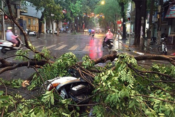 26fef1c5-24fc-40bb-af90-48545e4f5aa1 4