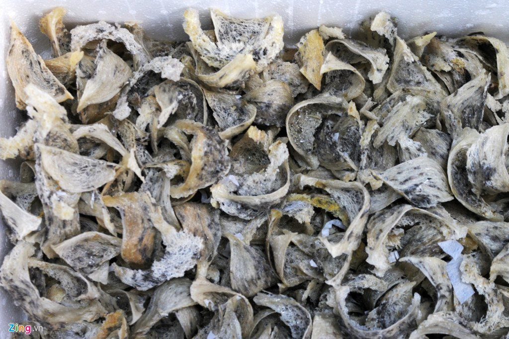 Dan Binh Dinh chi tien ty xay 'to am' cho chim yen hinh anh 8