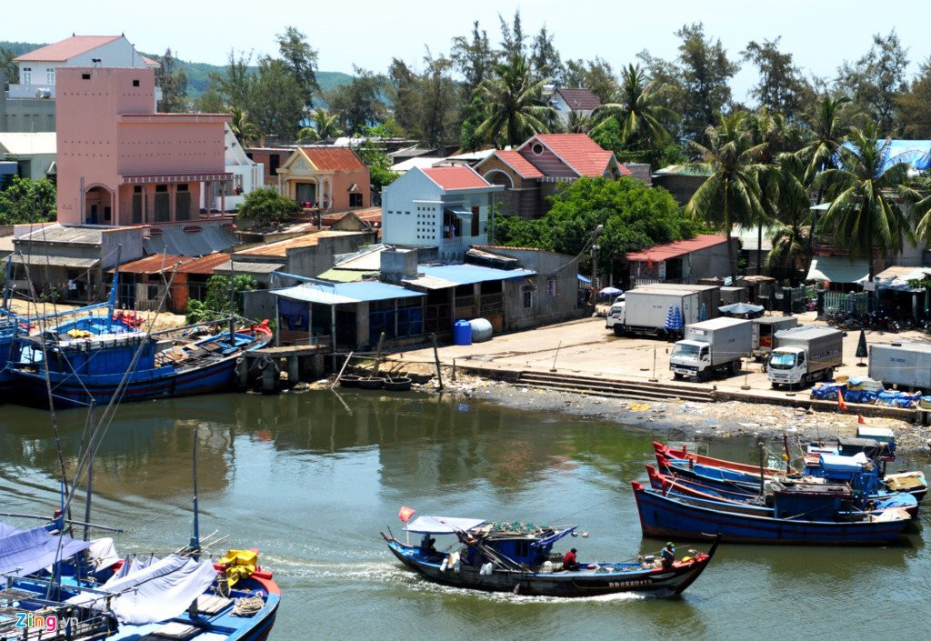 Dan Binh Dinh chi tien ty xay 'to am' cho chim yen hinh anh 1