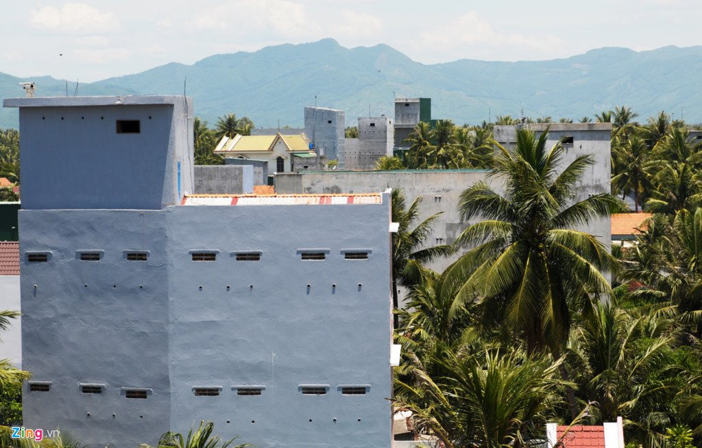 Dan Binh Dinh chi tien ty xay 'to am' cho chim yen hinh anh 3