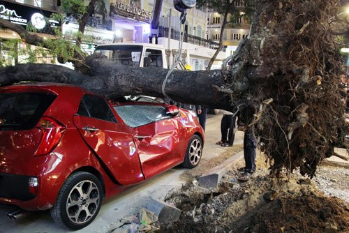 cay-me-bat-goc-de-bep-oto-o-trung-tam-sai-gon-1