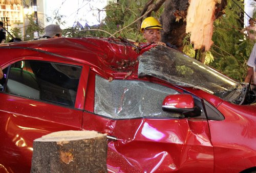 cay-me-bat-goc-de-bep-oto-o-trung-tam-sai-gon