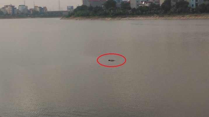 19983913_960900827383388_4384633985687977377_o-0919259 4