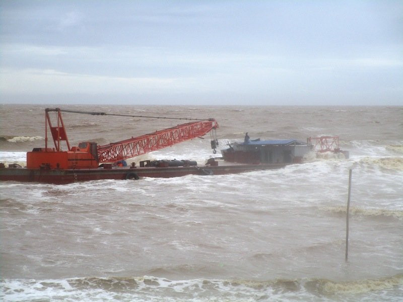 thanh hoa: phat hien hai sa lan khong co nguoi troi dat sat bo bien hinh anh 1