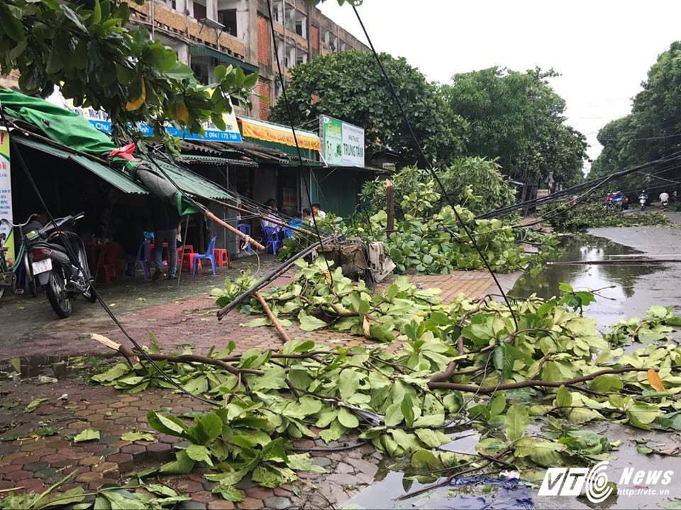 20068084_1545574482130547_489060989_n