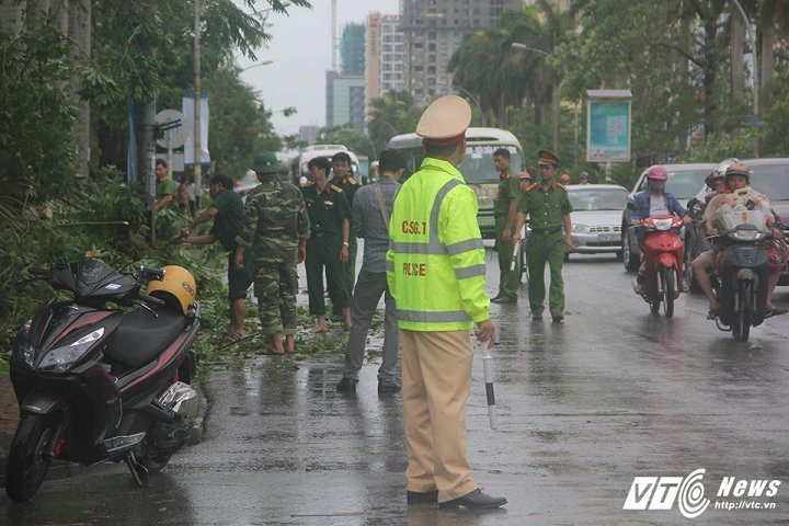 20120955_1545563988798263_273964387_n