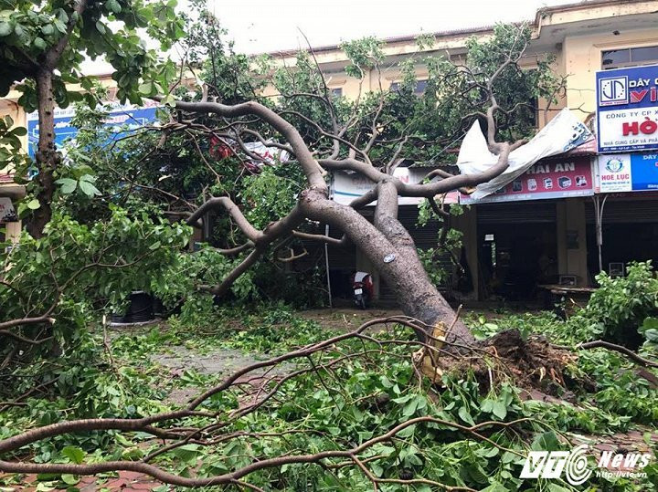 20121024_1545576825463646_1855348015_n