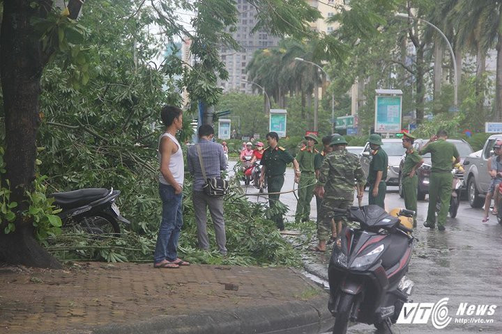 20134395_1545563862131609_145371077_n