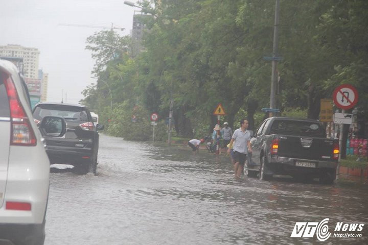 20134747_1545569482131047_278944284_n