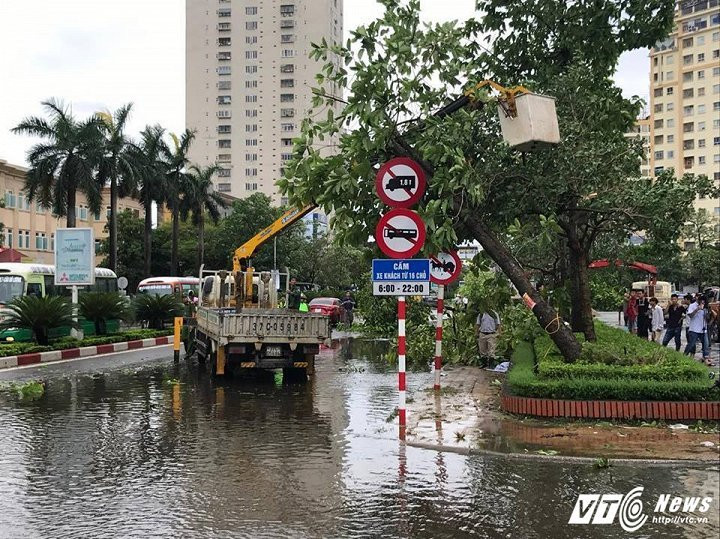 20136706_1545574532130542_1563117141_n