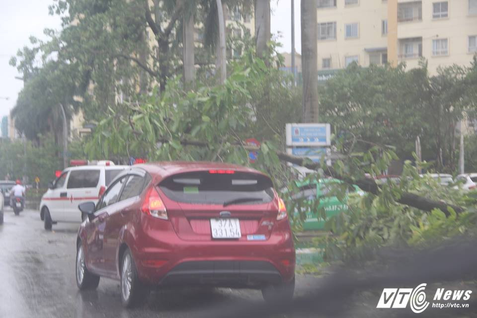 20158201_1545563598798302_1178925151_n