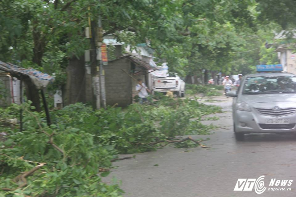 20158253_1545562152131780_114598192_n