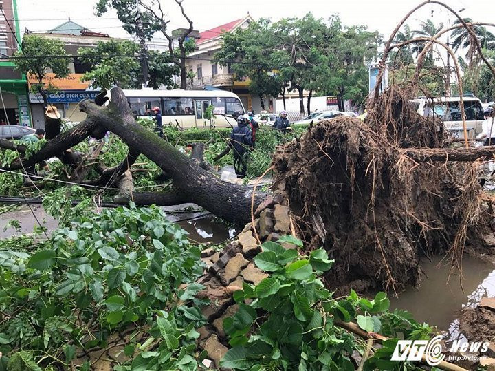 20182628_1545577002130295_1366548152_n