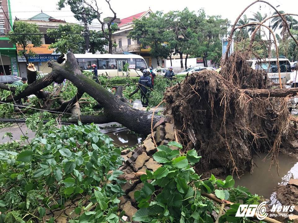 20182628_1545577002130295_1366548152_n