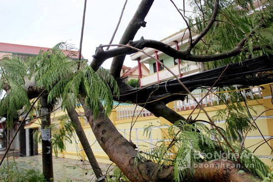 images1952854_IMG_4938 19