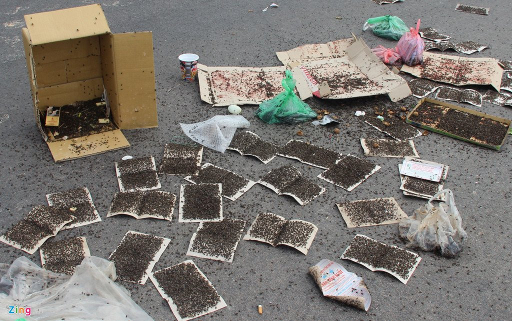 Dan mang hang kg ruoi ra duong chan xe vao bai rac hinh anh 3