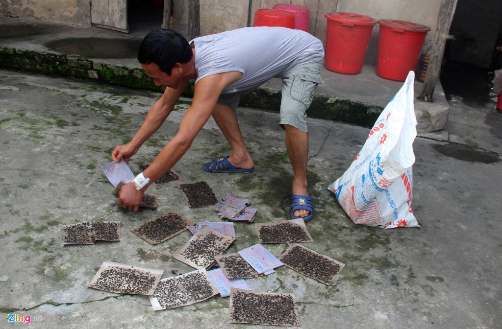 Dan mang hang kg ruoi ra duong chan xe vao bai rac hinh anh 4