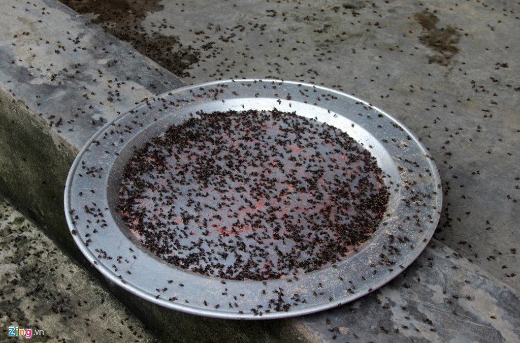 Dan mang hang kg ruoi ra duong chan xe vao bai rac hinh anh 5