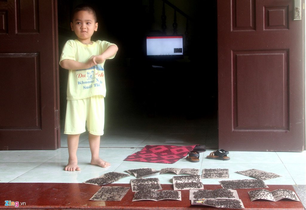 Dan mang hang kg ruoi ra duong chan xe vao bai rac hinh anh 7