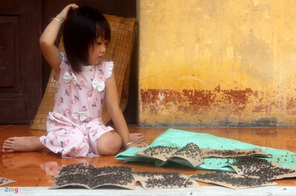 Dan mang hang kg ruoi ra duong chan xe vao bai rac hinh anh 8