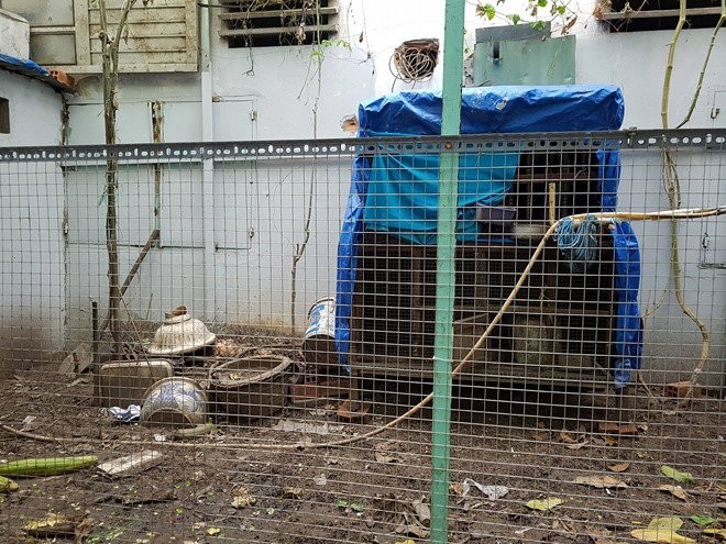 Chu nha bi can bo be khoa: 'Sao chi bat ga Dong Tao, de lai bo cau?' hinh anh 2