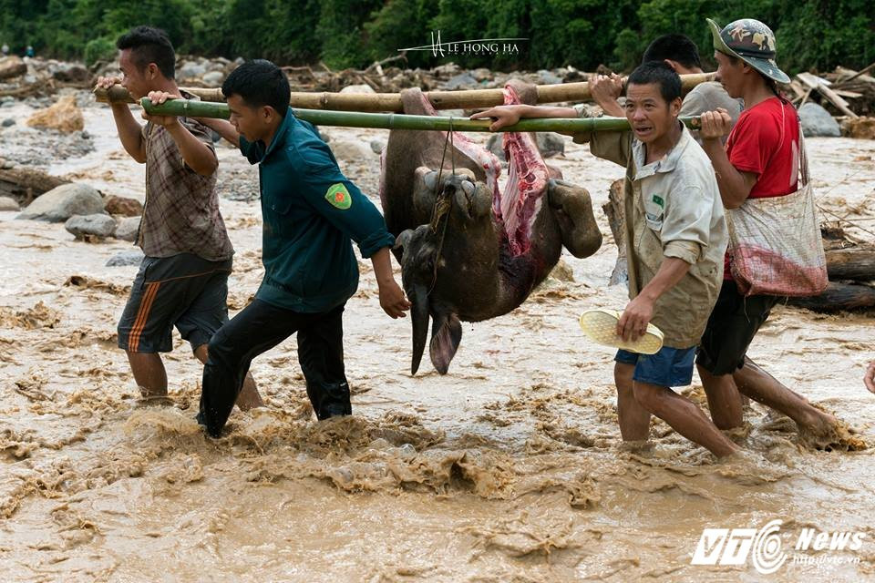 20597167_1648783021807335_8509787576086676236_n 15