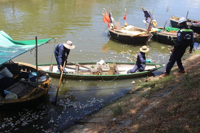 Công nhân công ty thoát nước và xử lý nước thải đang vớt cá chết.