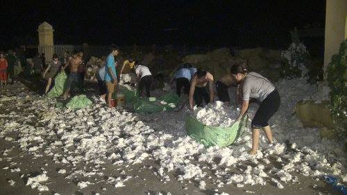 hỏa hoạn, cháy, cháy nhà máy, Thái Bình