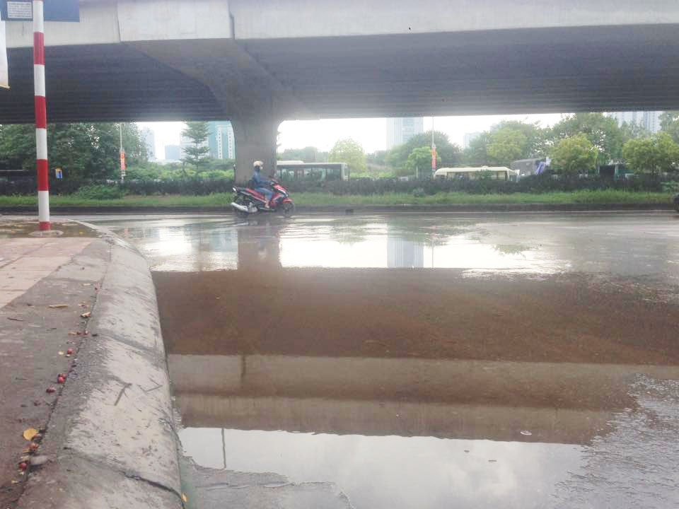 21230769_756432501232174_7112526429083299931_n 5