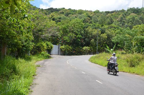 Đà Nẵng ém thông tin về Sơn Trà - Ảnh 1.