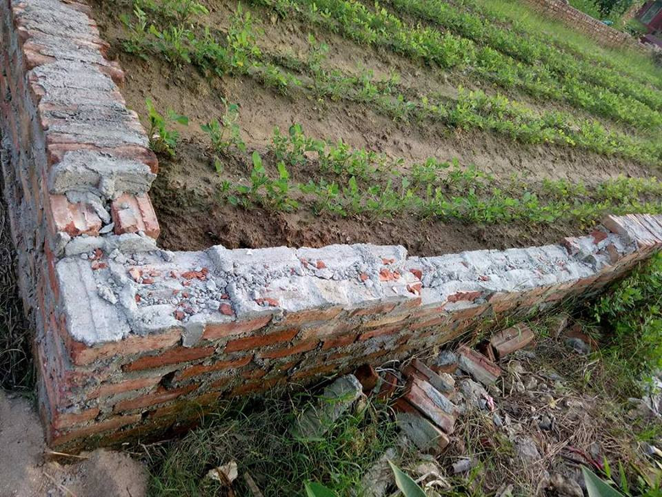 bút phê lý lịch, Hải Dương, lý lịch, lý lịch đảng viên