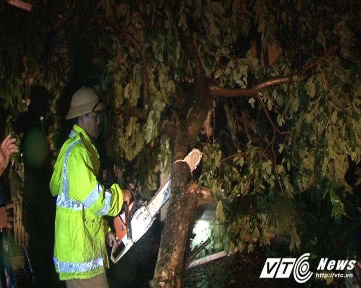 21586128_1487525541337495_1442377227_n