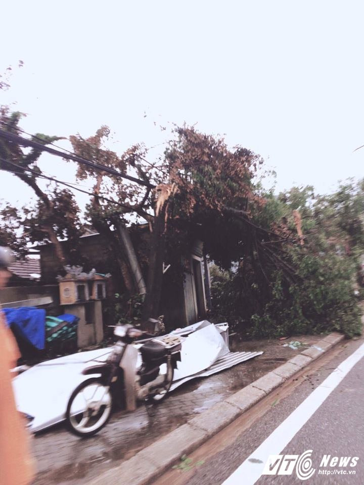 21586435_1487515874671795_1609761972_n 3