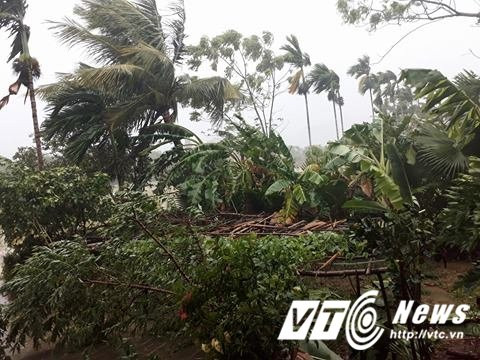 21741854_1142641379200560_1786589371_n 3