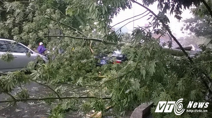 tin tức bão số 10